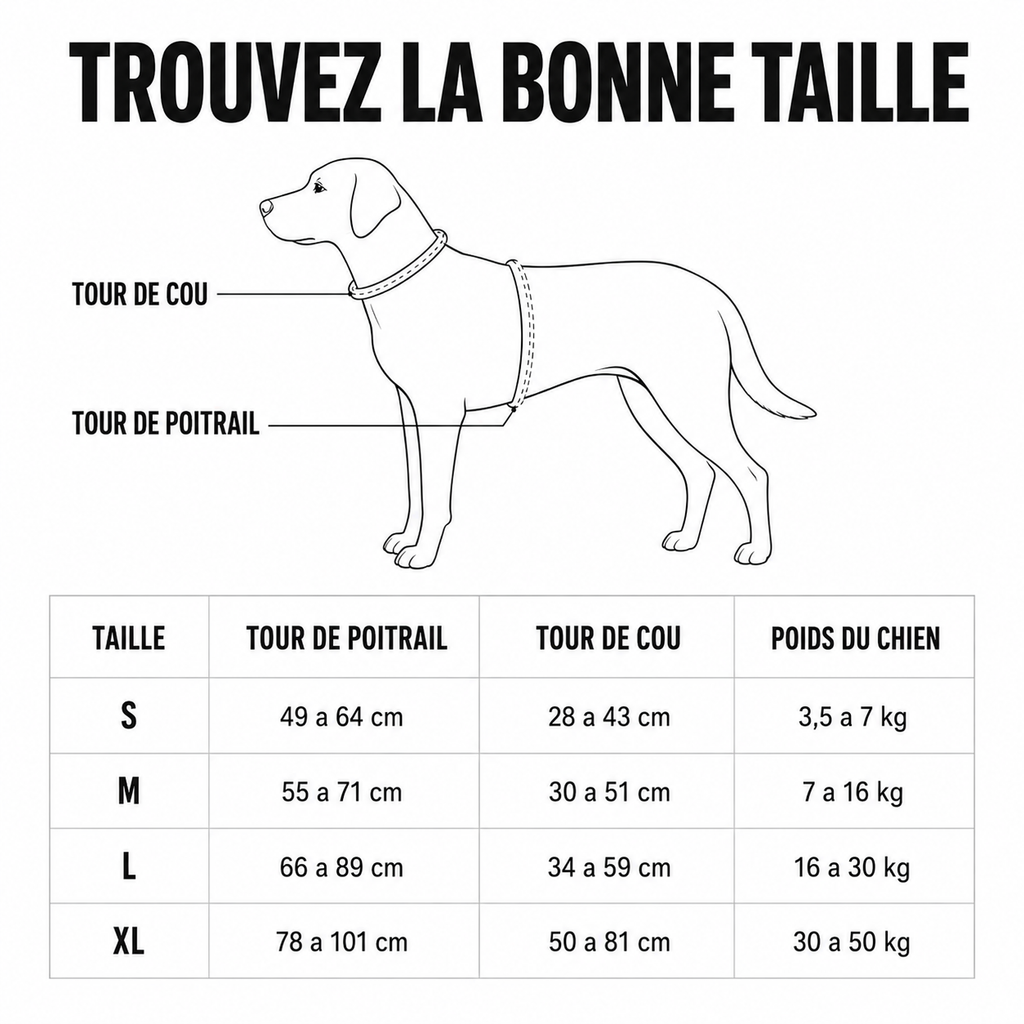 Guide des tailles : tour de poitrail, tour de cou et poids du chien